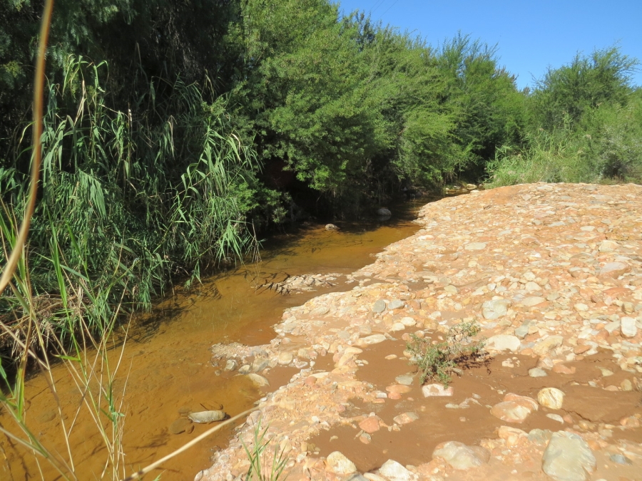  Bedroom Property for Sale in Oudtshoorn Rural Western Cape